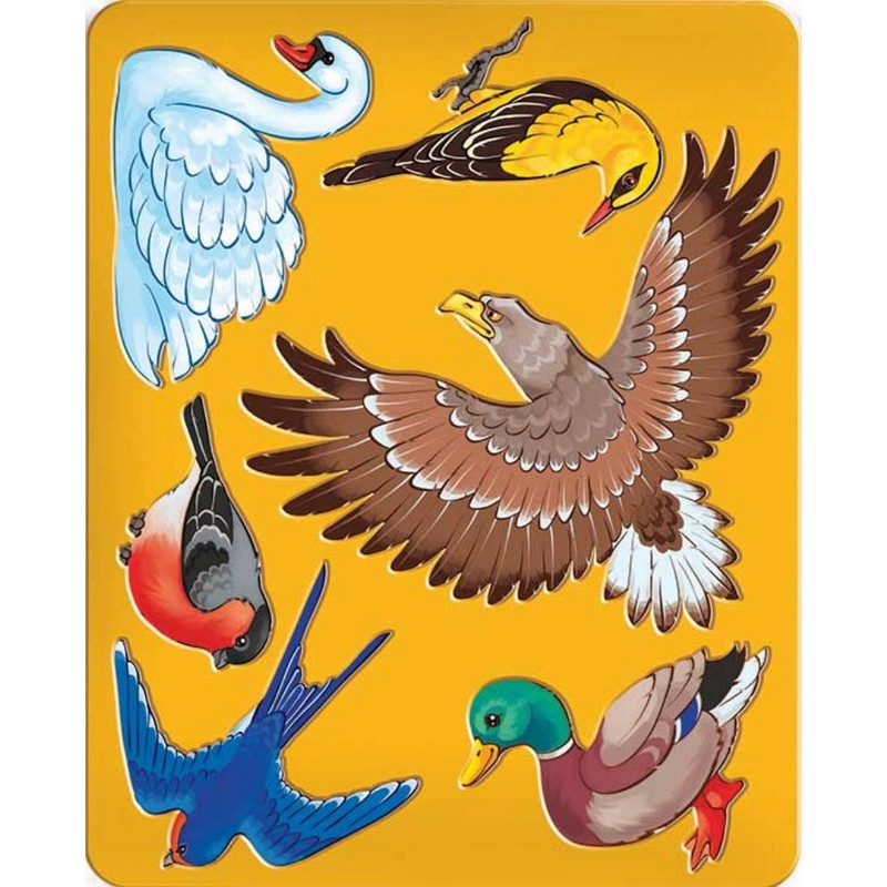Трафарет раскраска Птицы 9С 449-08 | Магазин канцтоваров и игрушек Львёнок