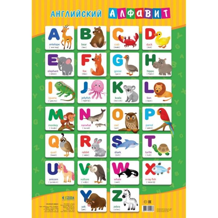 Плакат Дидактический английский Алфавит | Магазин канцтоваров и игрушек Львёнок