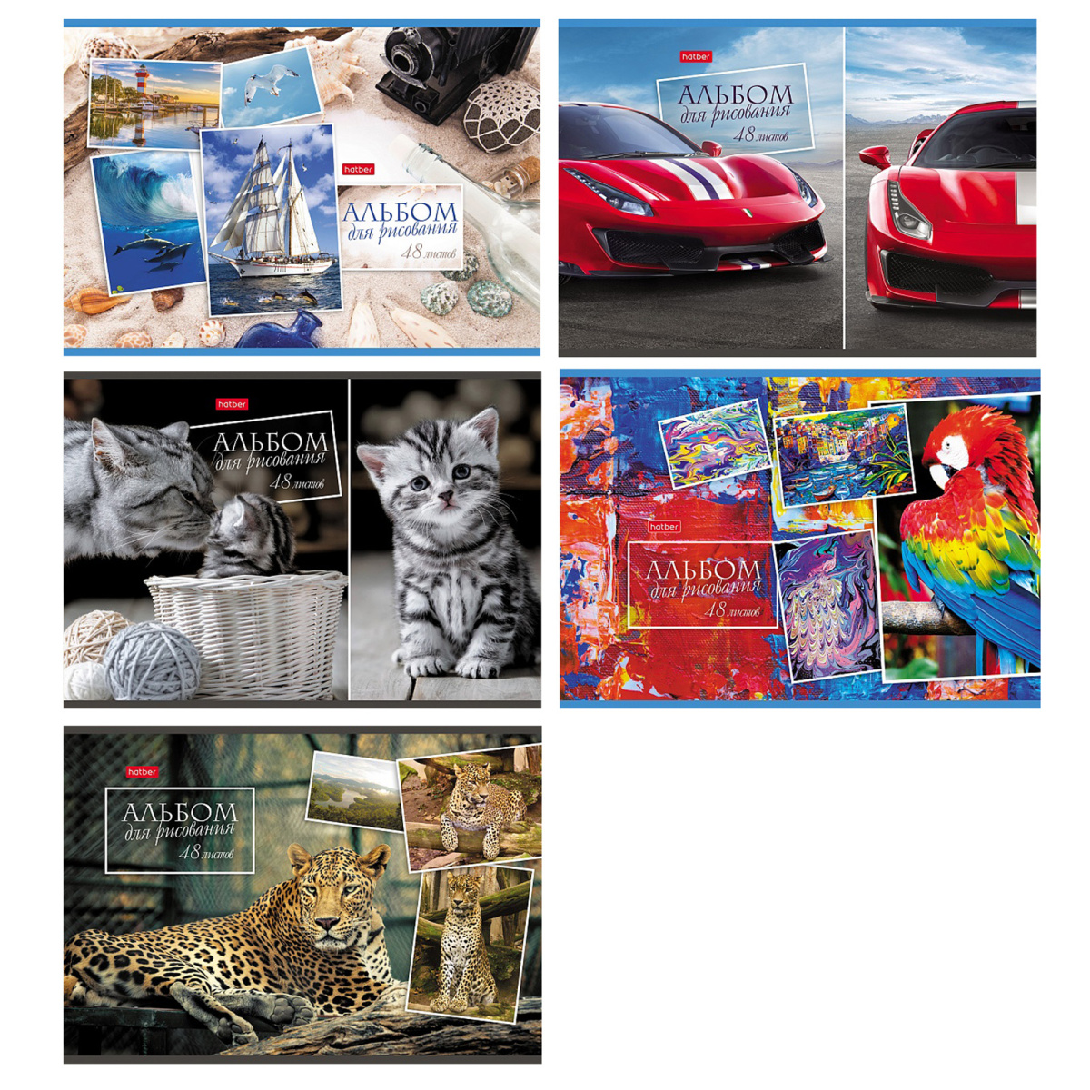 Альбом для рисования 48л спираль жесткая подложка Ассорти 48А4Всп | Магазин канцтоваров и игрушек Львёнок