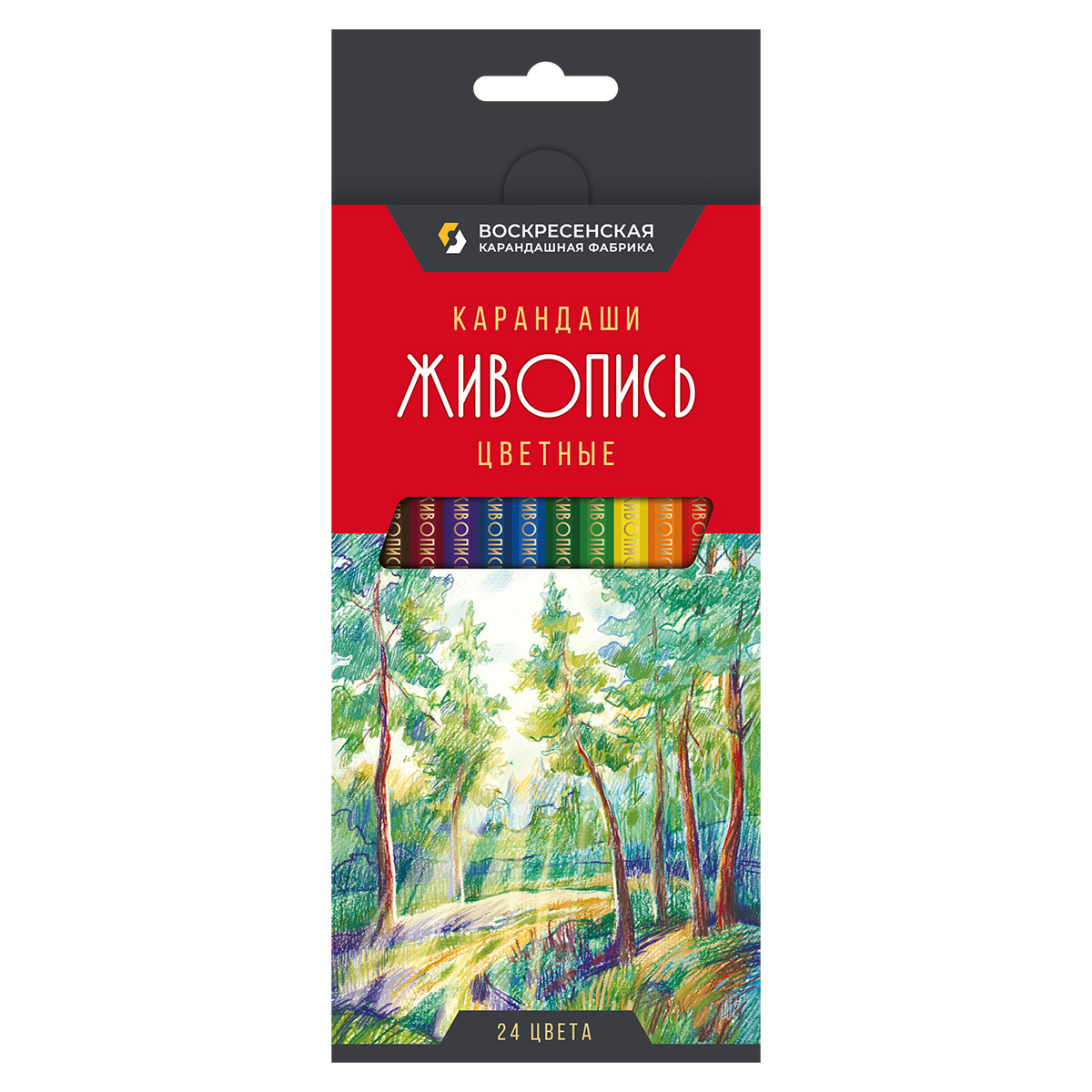 Набор цветных карандашей 24цв "Живопись" заточенный  JIV-CP-1024 | Магазин канцтоваров и игрушек Львёнок