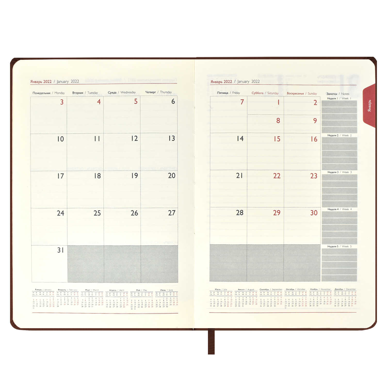 Ежедневник датированный "2022" А5 56979 Шарголин коричневый 176л | Магазин канцтоваров и игрушек Львёнок