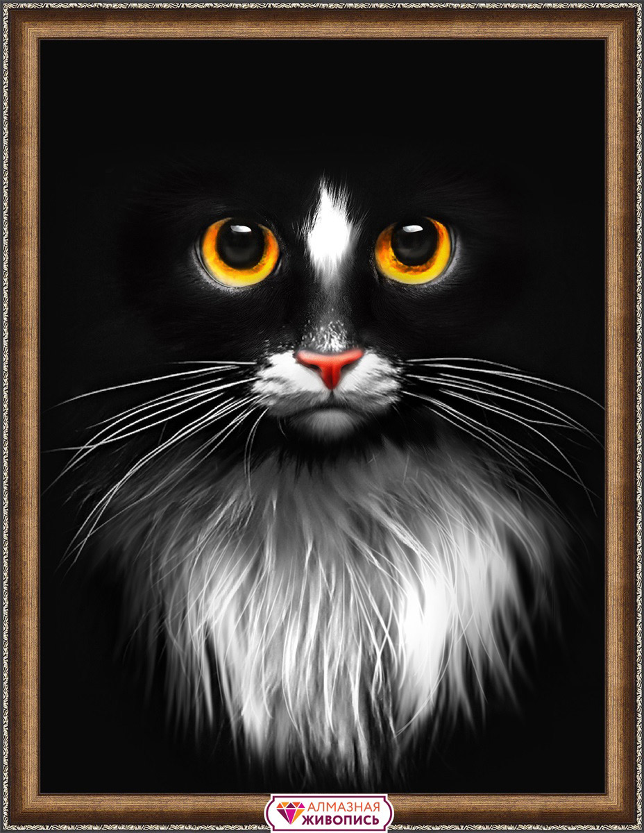 Алмазная живопись 30х40см "Черный кот"  АЖ-1899 | Магазин канцтоваров и игрушек Львёнок